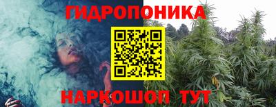 крисы Балаково