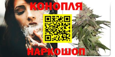 крисы Балаково