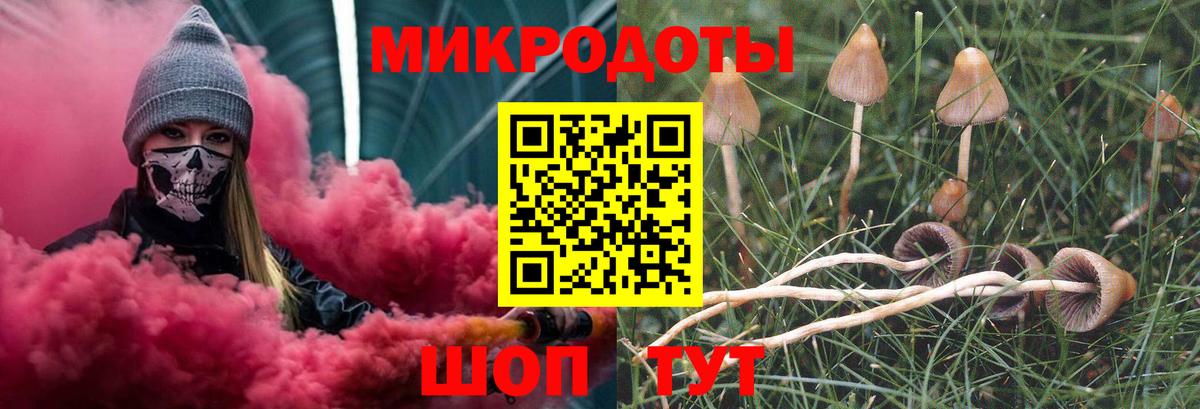 Еманжелинск  Псилоцибиновые грибы Psilocybe  Вход с VPN 